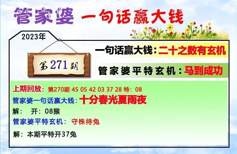 202管家婆一肖一码,极速解答解释落实_app96.265