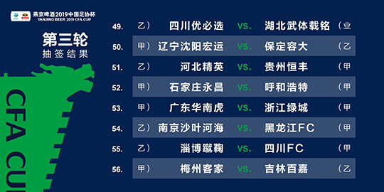 2024澳门今晚必开一肖,可靠性执行方案_战斗版86.84