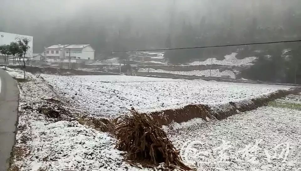 坪阳庙乡天气预报更新通知