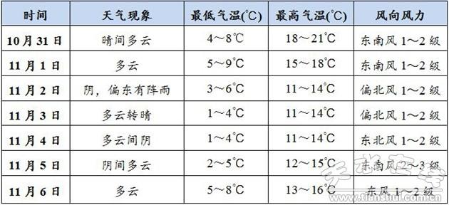 2025年1月24日 第31页